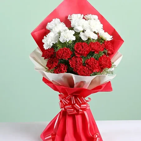 20 Carnation Bouquet Promised Gift